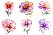 Watercolor Spring Cosmos Flower Clip, a Texture Illustration by DreamPrint404 (Thumbnail 2 of 7)