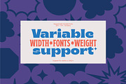 65% OFF Brice Font Family, a Font by Sundance Tipografia (Thumbnail 7 of 17)