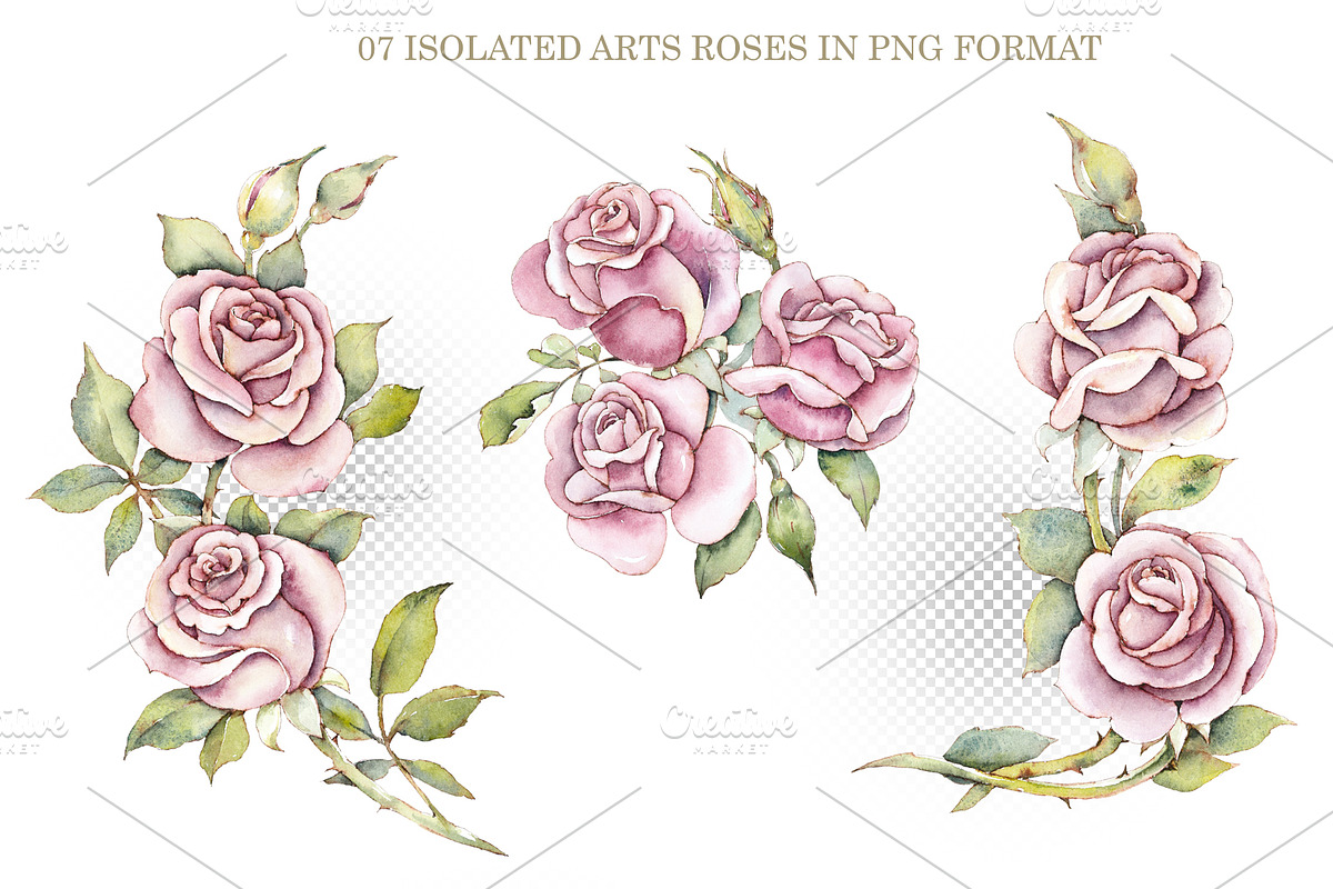 Watercolor Pink Roses, a Decorative Illustration by Budogoshch (Photo 3 of 5)