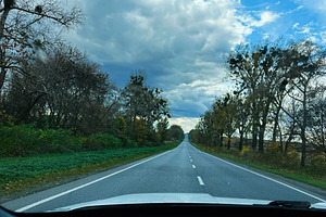 Open road ahead through trees under dramatic blue sky and dramatic clouds, view, a Photo by AS photostudio