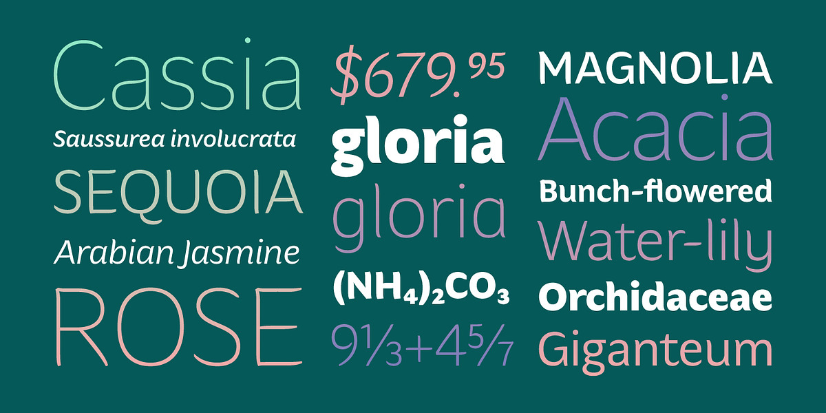 Hua, a Sans Serif Font by YXType (Photo 9 of 10)