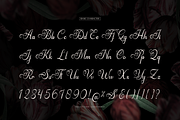 Arthemy Rorelia | Calligraphy Font, a Script Font by Denustudios (Thumbnail 10 of 12)