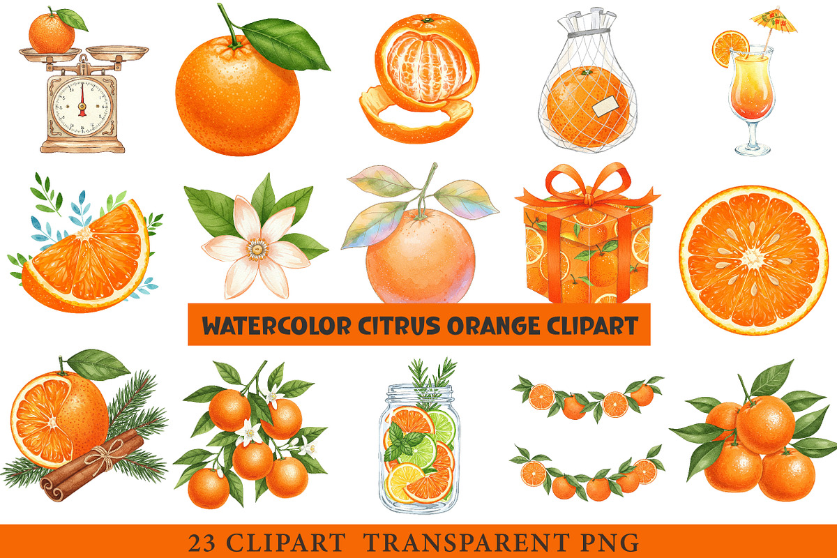 Watercolor Citrus Orange Clipart, an Illustration by cherrydesign (Photo 1 of 3)