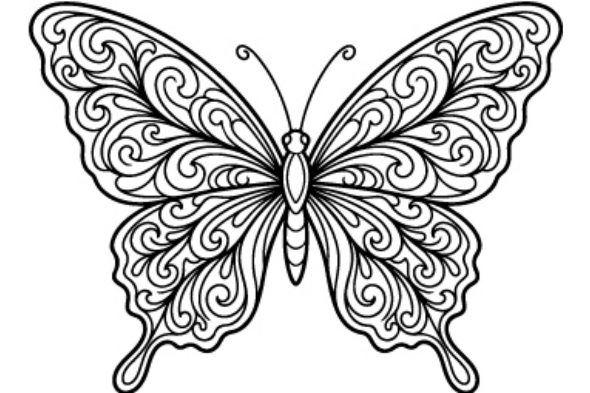 Ornamental Butterfly SVG Bundle, an Object Graphic by Gfx_Store (Photo 7 of 16)