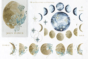 Frosty Forest Winter Collection, an Animal Illustration by Cat In Colour (Thumbnail 7 of 10)