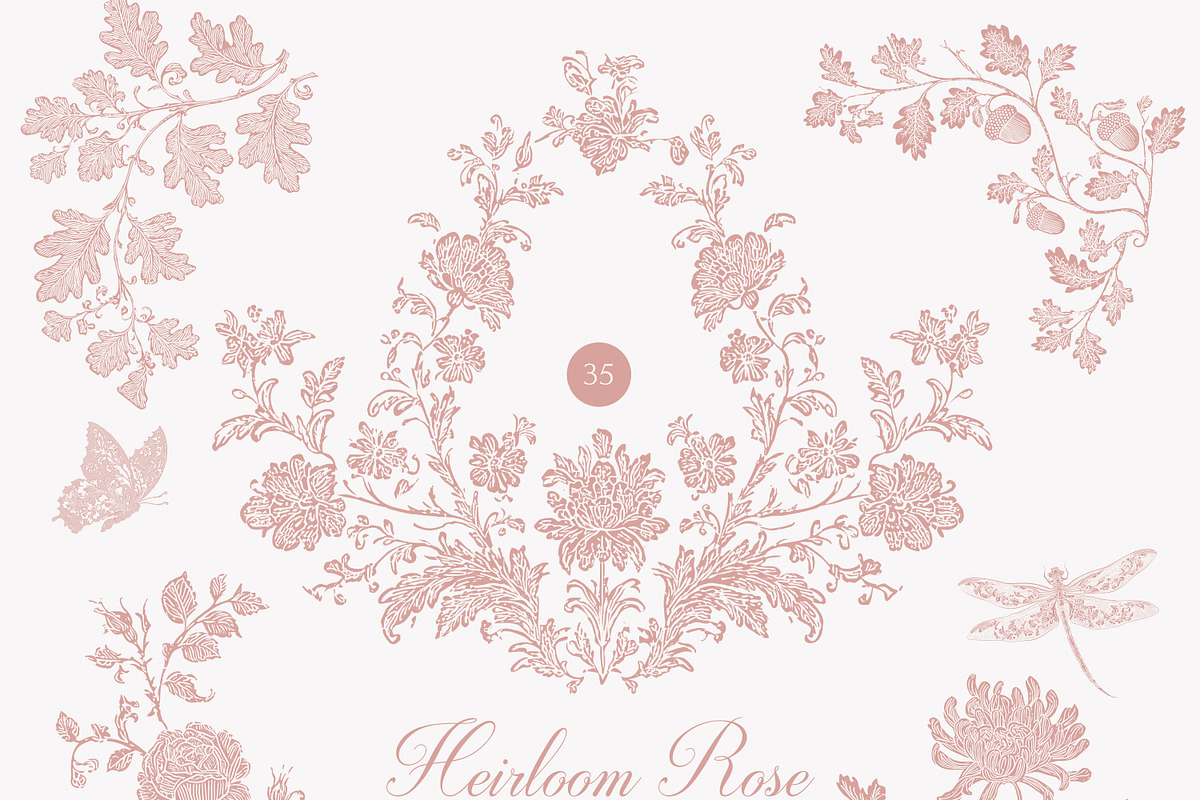 Vintage Floral Bundle, an Object Illustration by studioequinox (Photo 2 of 65)
