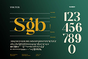 Volter, a Serif Font by Ardyanatypes (Thumbnail 9 of 12)