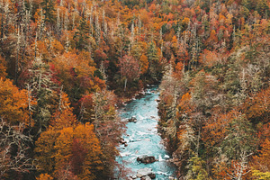 Linville gorge wilderness stock photo containing linville and linville gorge