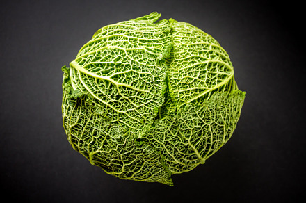 Savoy cabbage isolated on a black background, a Food & Drink Photo by GoodGoods