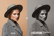 Linchrome Black & White Actions, an Action Add-On by skybluecreative (Thumbnail 6 of 11)