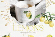 Lemon Watercolor illustration floral, a Food Illustration by Yuliya Derbisheva (Thumbnail 4 of 9)