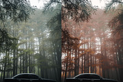 Fall - Autmun Photoshop Actions preview 3