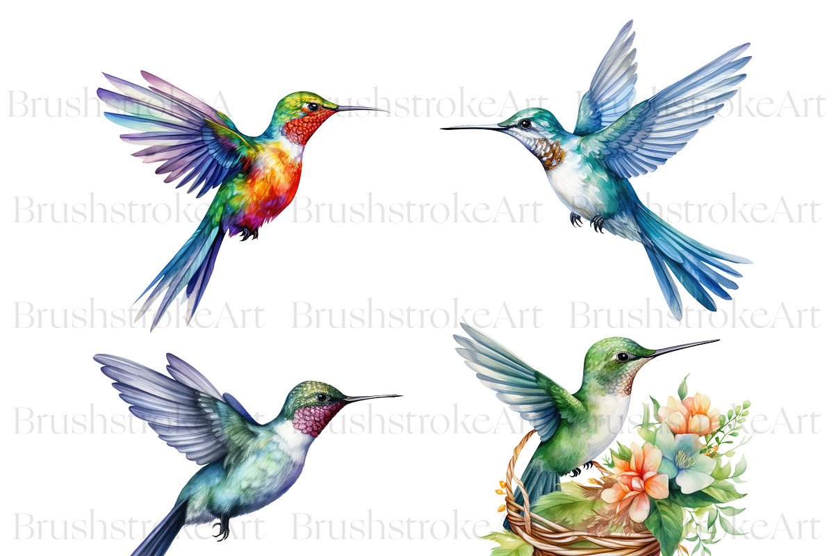 Hummingbird Clipart, Hummingbirds, an Animal Illustration by BrushstrokeArtGB (Photo 5 of 8)