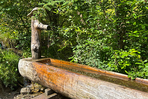Wooden mountain fountain in forest of Les Contamines-Montjoie, F, an Architecture Photo by GoodGoods