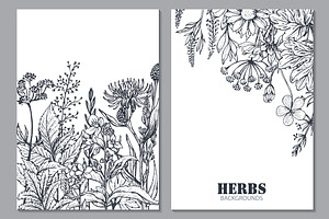 Herbs And Wildflowers