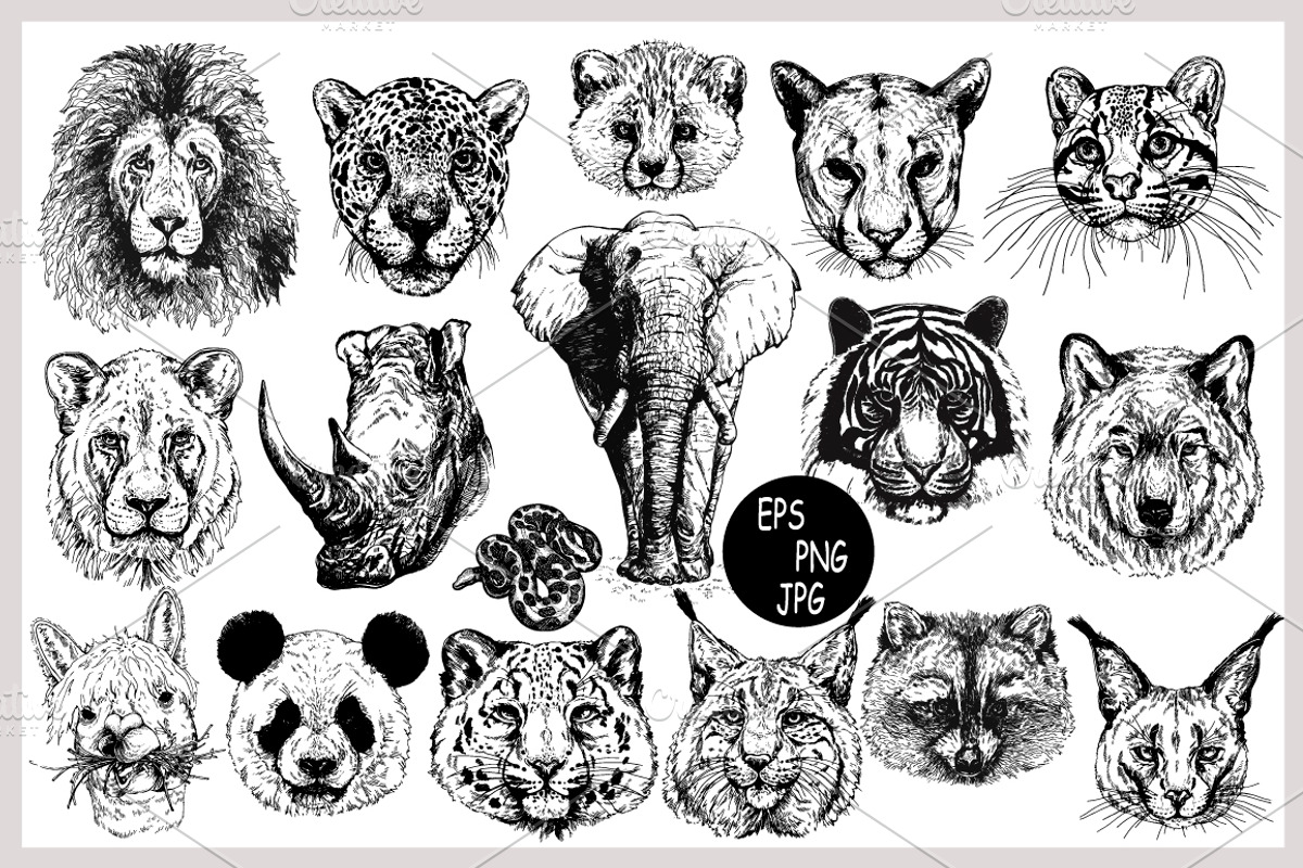 Animal Faces, an Animal Illustration by Ecaterina Sciuchina (Photo 2 of 7)