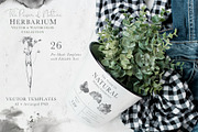 Herbarium: Design Set, a Graphic by Lumitar (Thumbnail 5 of 14)