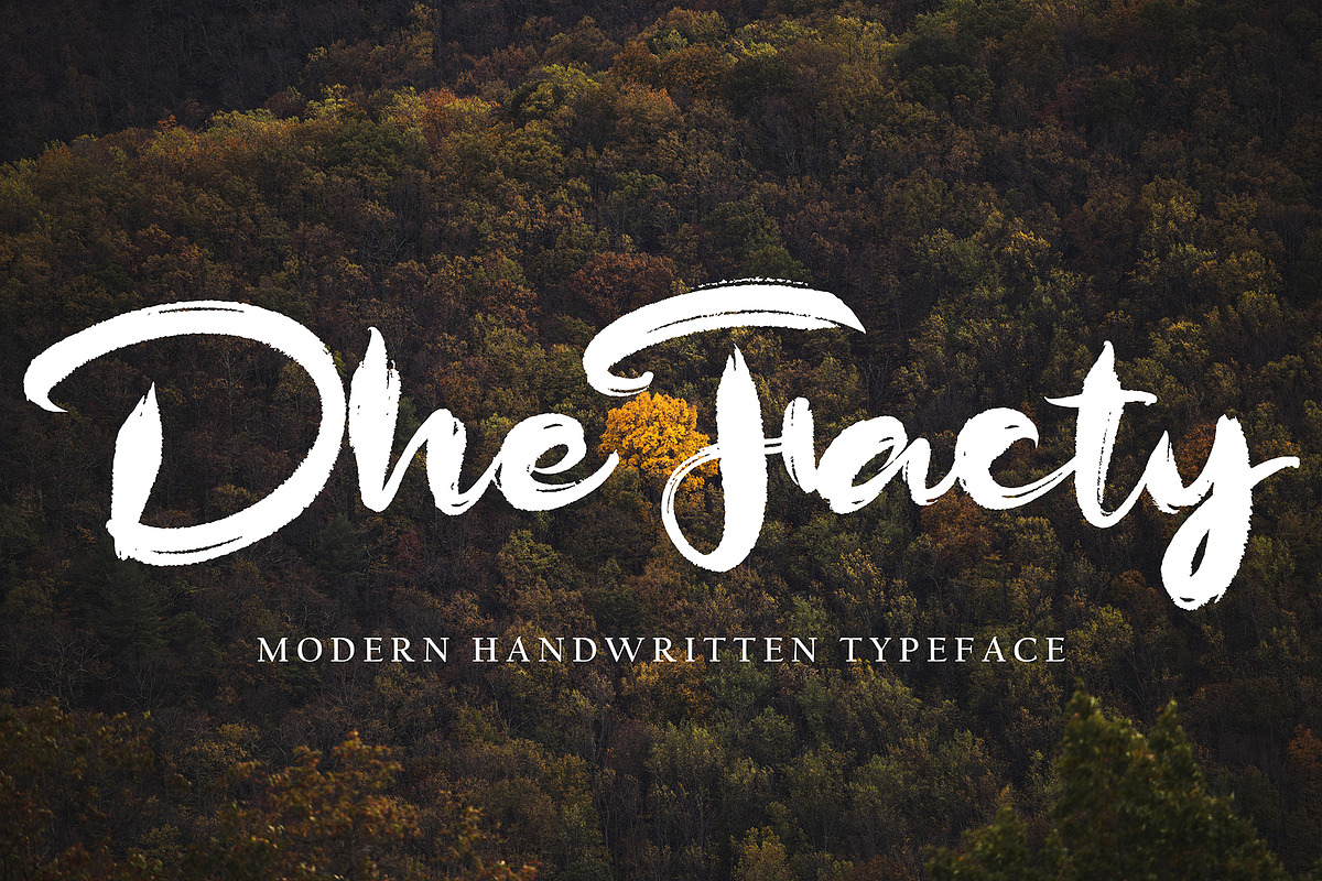 Dhe Facty, a Handwritten Font by pineungtype (Photo 1 of 6)
