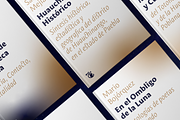 Mestiza Sans, a Sans Serif Font by Lechuga Type (Thumbnail 14 of 19)