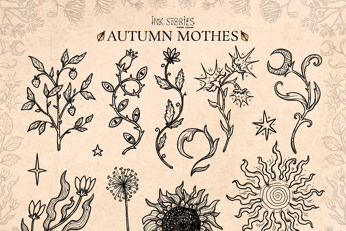 Autumn Moths & Dried Botanicals, an Animal Illustration by Ink Stories (Photo 5 of 18)