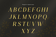 Affiora - Elegant Italic Serif Font, a Serif Font by Flawless And Co (Thumbnail 7 of 10)