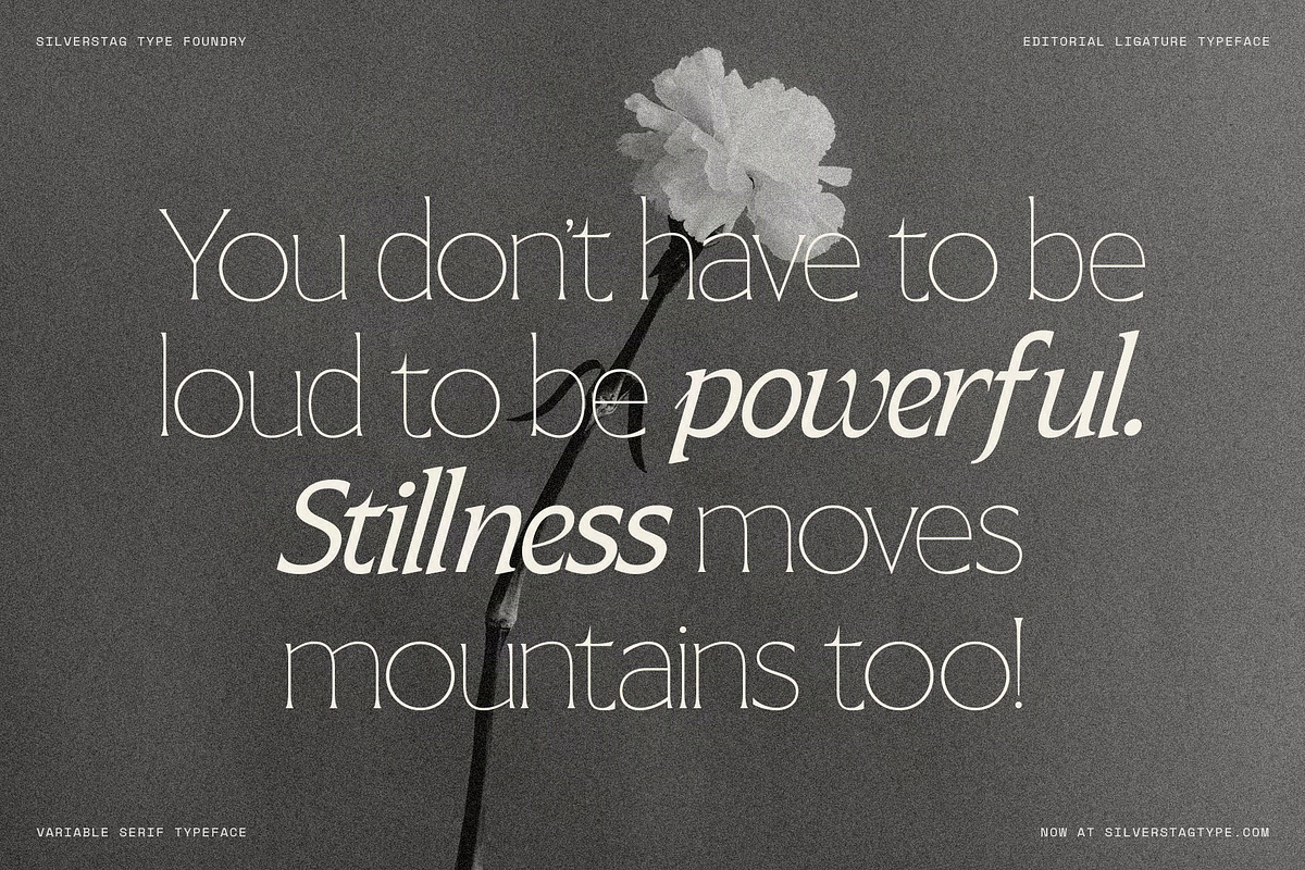Arcilla — Variable Editorial Serif, a Serif Font by SilverStag Type Foundry (Photo 27 of 31)
