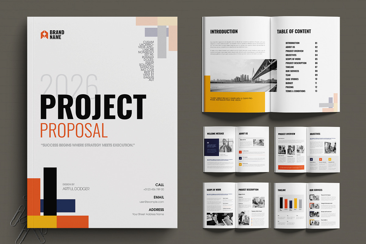 Professional Project Proposal