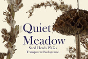 Quiet Meadow — Seed Heads PNGs, an Object Graphic by Aga Silva (Thumbnail 3 of 4)