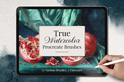 True Watercolor Procreate Brushes, a Brush Add-On by Freezerondigital (Thumbnail 1 of 17)
