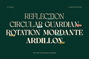 OV Treasure Retro Serif Font Family, a Serif Font by OV Type (Thumbnail 7 of 21)
