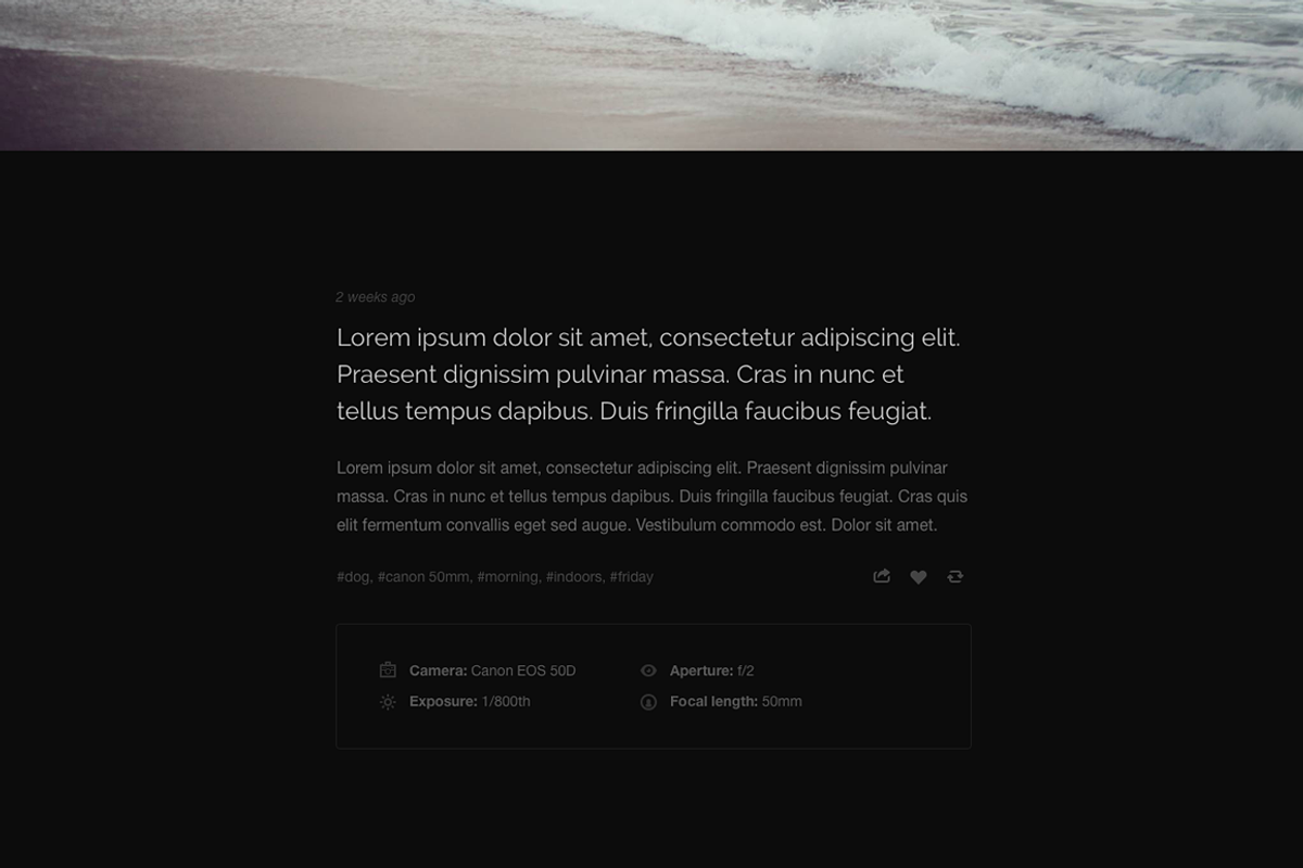 Foto tumblr theme, a Websites & App Template by Pixel Revel (Photo 4 of 4)