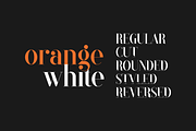Black Goose Typeface - 5 fonts, a Serif Font by VP Fonts (Thumbnail 8 of 15)