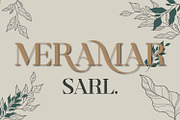 Kamundi | Modern Branding Typeface, a Serif Font by MchCrafter (Thumbnail 9 of 13)