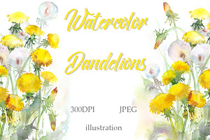 SALE! Watercolor dandelions