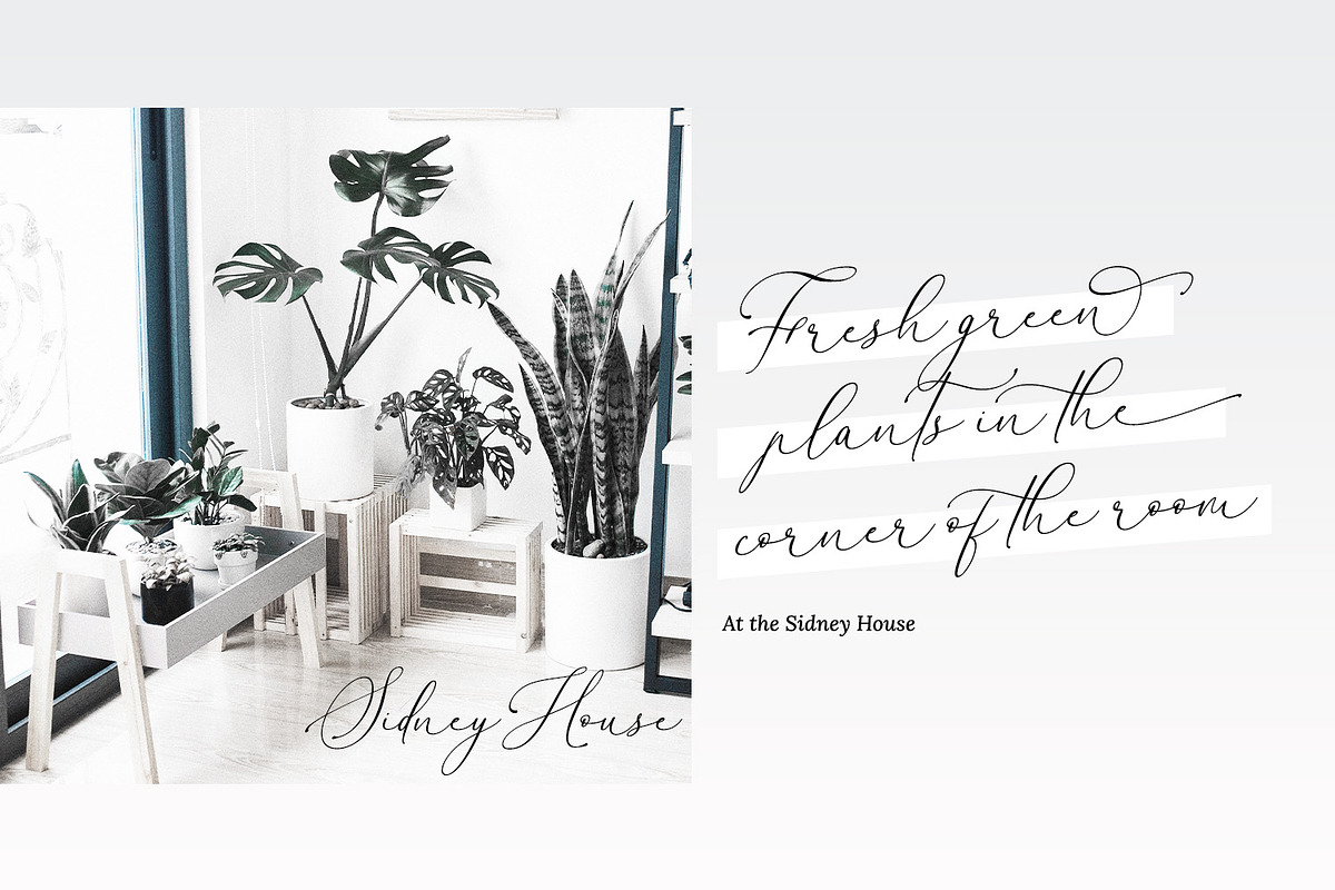 Mint Smiles, a Script Font by Nathatype (Photo 4 of 10)