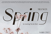 Geizla – Modern Sans Serif, a Sans Serif Font by Craft Supply Co. (Thumbnail 5 of 8)