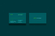 Business cards template: Finanacialp, a Business Card Template by Srg® (Thumbnail 1 of 4)
