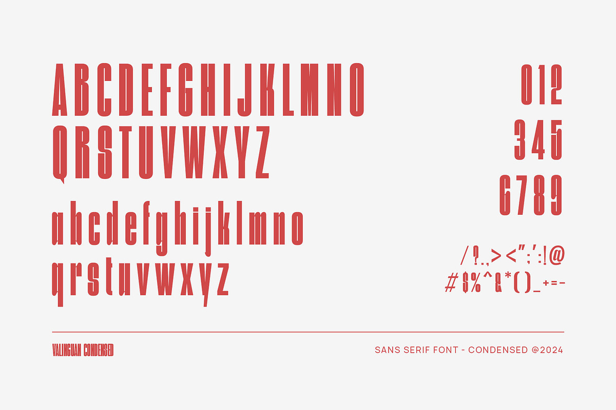 Valinguan Condensed Sans Serif, a Sans Serif Font by TypeLogue (Photo 5 of 5)