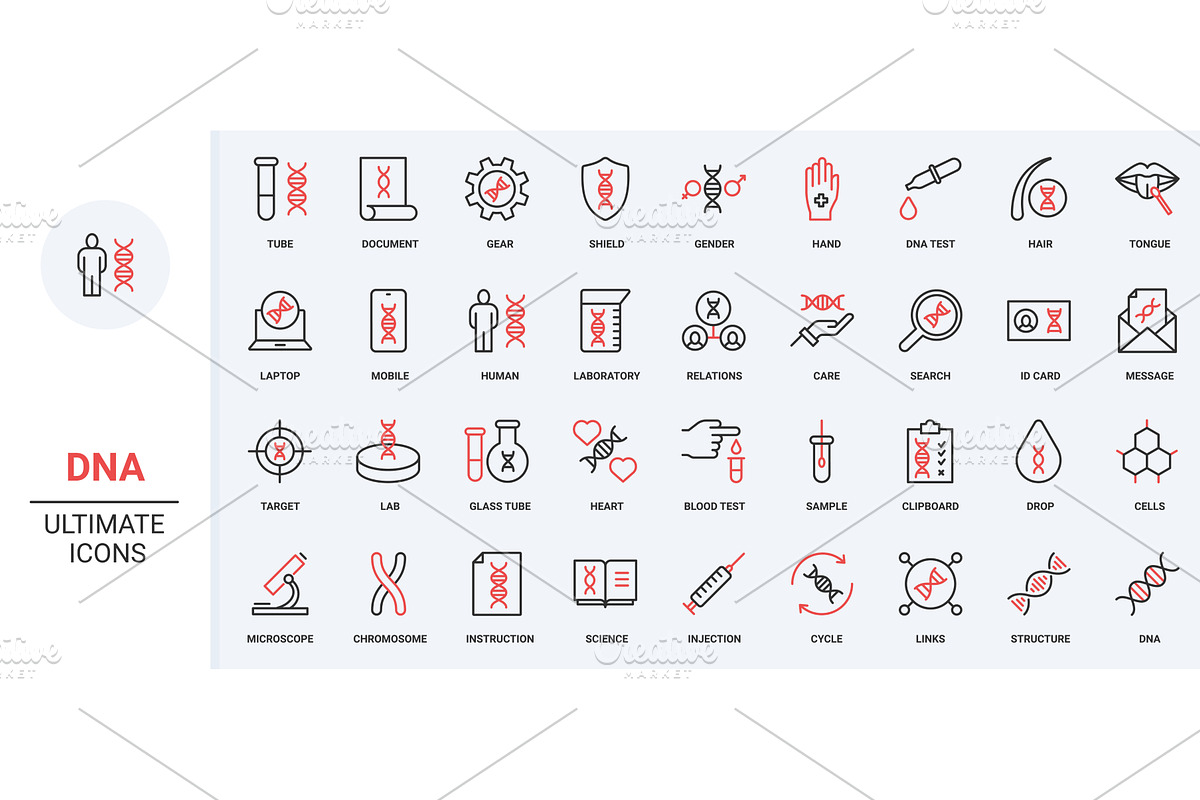 Genetic research human dna gene icon, an Illustration by Lemberg Vector