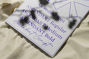 Ascendant | Font Duo, a Handwritten Font by Ef Studio (Thumbnail 8 of 12)