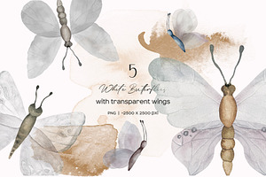 White And Color Butterflies Clipart