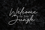 Velocity - Elegant Signature, a Script Font by hastatypestd (Thumbnail 9 of 10)