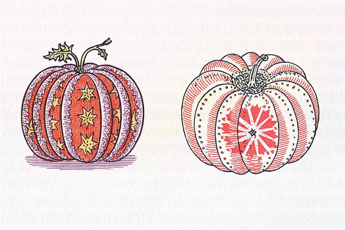 Pumpkin Hand-drawn Fall, an Illustration by CreationArt (Photo 3 of 4)