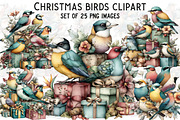 Christmas Birds Clipart, an Illustration by Craft Nest (Thumbnail 1 of 7)