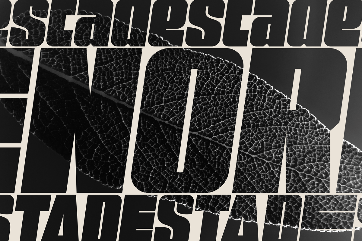 Desta – Font Family, a Font by Stefano Giliberti (Photo 5 of 9)