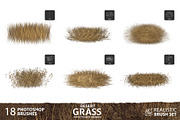 Dynamic Desert Grass Brushes, a Brush Add-On by Mohamed Saber (Thumbnail 4 of 6)