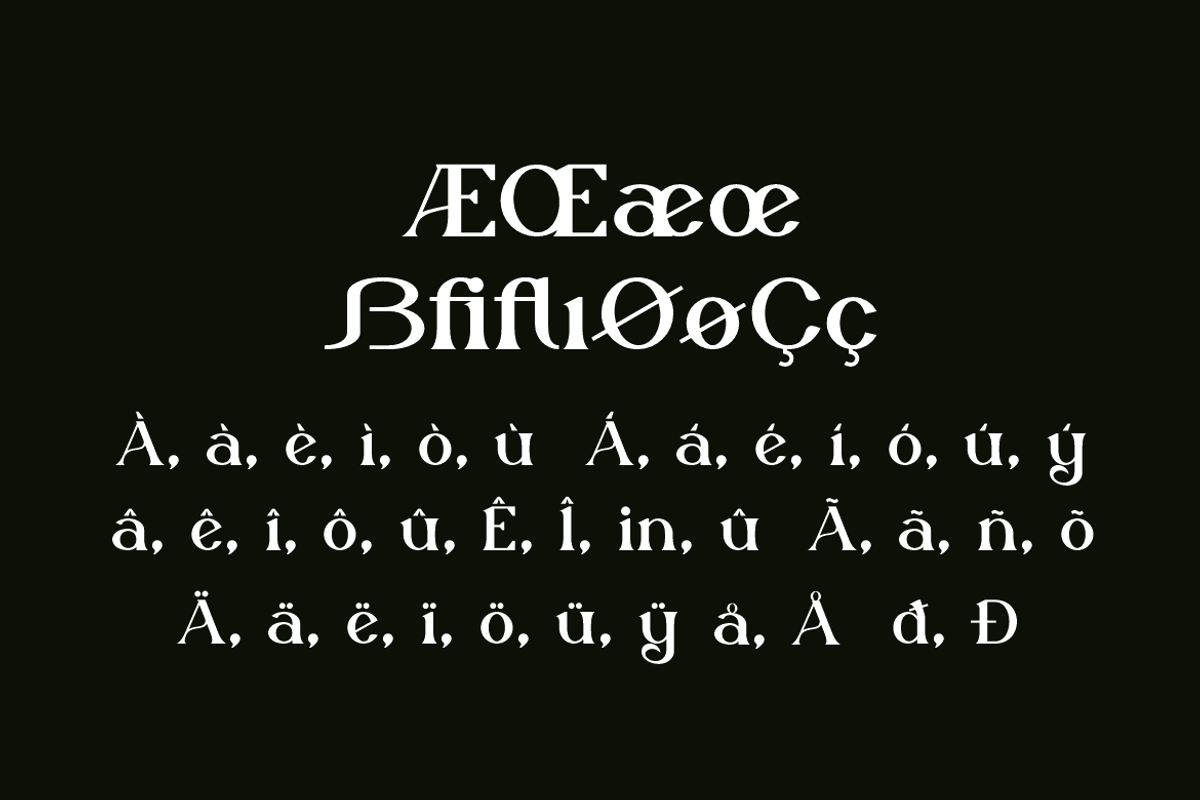 Clotfer - Modern Aesthetic Font, a Serif Font by Iqsiart Studio (Photo 6 of 14)