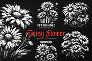 10 Bundle Dark Art Daisy Flower, an Illustration by Morspective (Thumbnail 1 of 7)