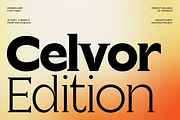 Celvor Edition – Serif Font Family, a Serif Font by roomspace creative lab (Thumbnail 1 of 12)