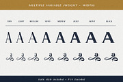 Gold Leaf, a Serif Font by Fontsgood (Thumbnail 5 of 12)